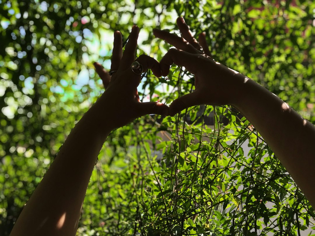 Eine Hand hält behutsam ein grünes Blatt im Tageslicht